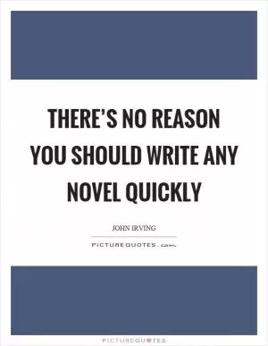There’s no reason you should write any novel quickly Picture Quote #1