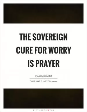 The sovereign cure for worry is prayer Picture Quote #1