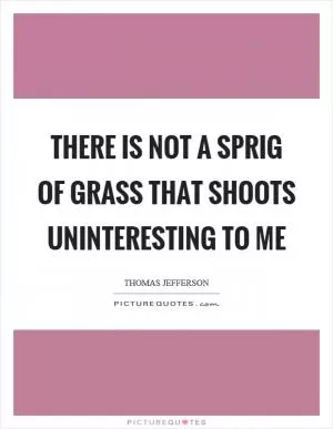 There is not a sprig of grass that shoots uninteresting to me Picture Quote #1