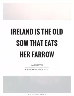 Ireland is the old sow that eats her farrow Picture Quote #1