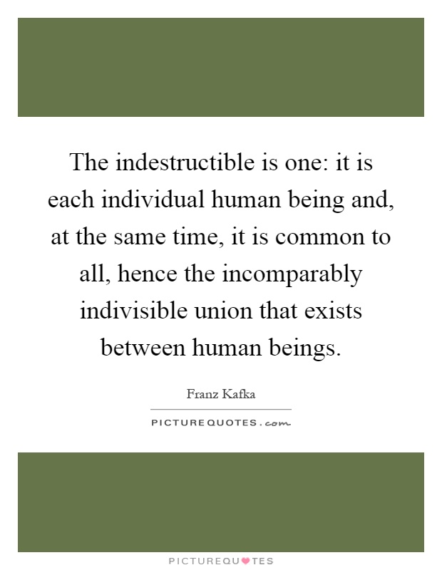 The indestructible is one: it is each individual human being and, at the same time, it is common to all, hence the incomparably indivisible union that exists between human beings Picture Quote #1