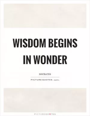 Wisdom begins in wonder Picture Quote #1