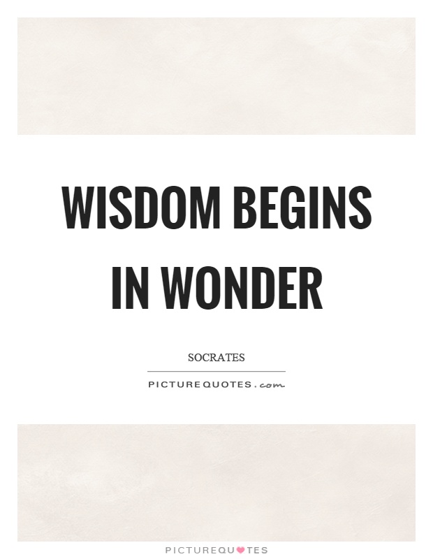 Wisdom begins in wonder Picture Quote #1