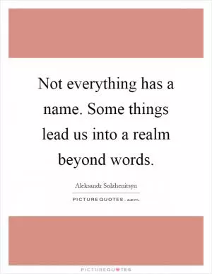 Not everything has a name. Some things lead us into a realm beyond words Picture Quote #1