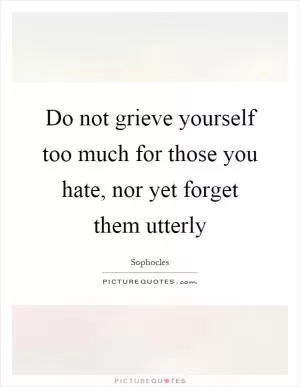 Do not grieve yourself too much for those you hate, nor yet forget them utterly Picture Quote #1