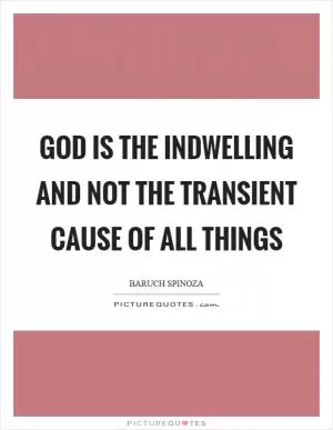 God is the indwelling and not the transient cause of all things Picture Quote #1