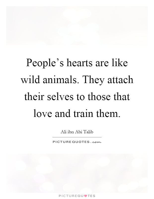 People's hearts are like wild animals. They attach their selves to those that love and train them Picture Quote #1