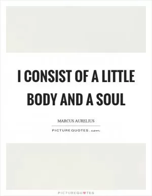 I consist of a little body and a soul Picture Quote #1