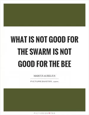 What is not good for the swarm is not good for the bee Picture Quote #1