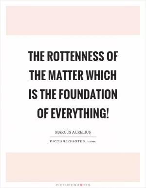 The rottenness of the matter which is the foundation of everything! Picture Quote #1