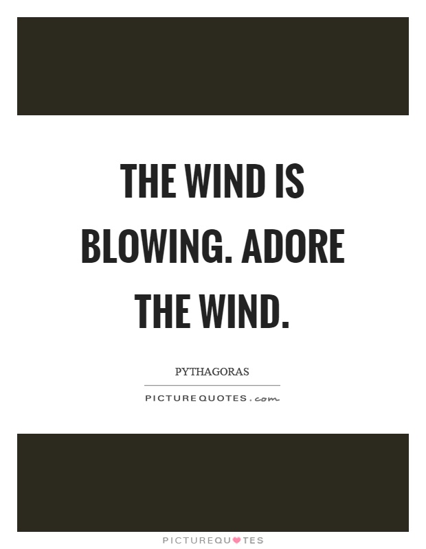 The wind is blowing. Adore the wind Picture Quote #1