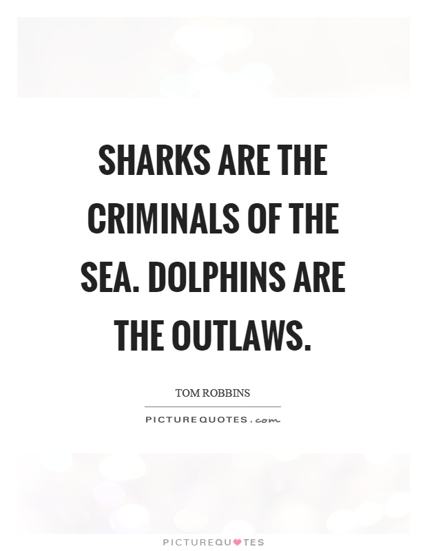 Sharks are the criminals of the sea. Dolphins are the outlaws Picture Quote #1
