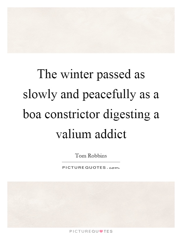 The winter passed as slowly and peacefully as a boa constrictor digesting a valium addict Picture Quote #1
