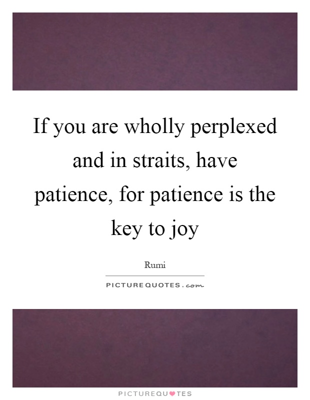 If you are wholly perplexed and in straits, have patience, for patience is the key to joy Picture Quote #1