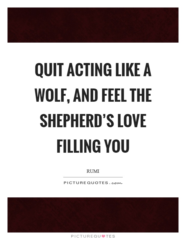 Quit acting like a wolf, and feel the shepherd's love filling you Picture Quote #1