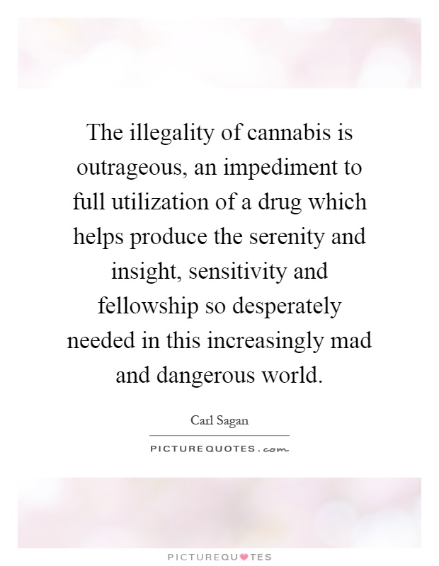 The illegality of cannabis is outrageous, an impediment to full utilization of a drug which helps produce the serenity and insight, sensitivity and fellowship so desperately needed in this increasingly mad and dangerous world Picture Quote #1