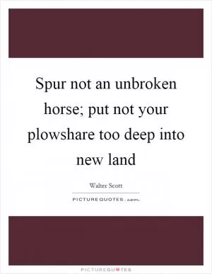 Spur not an unbroken horse; put not your plowshare too deep into new land Picture Quote #1