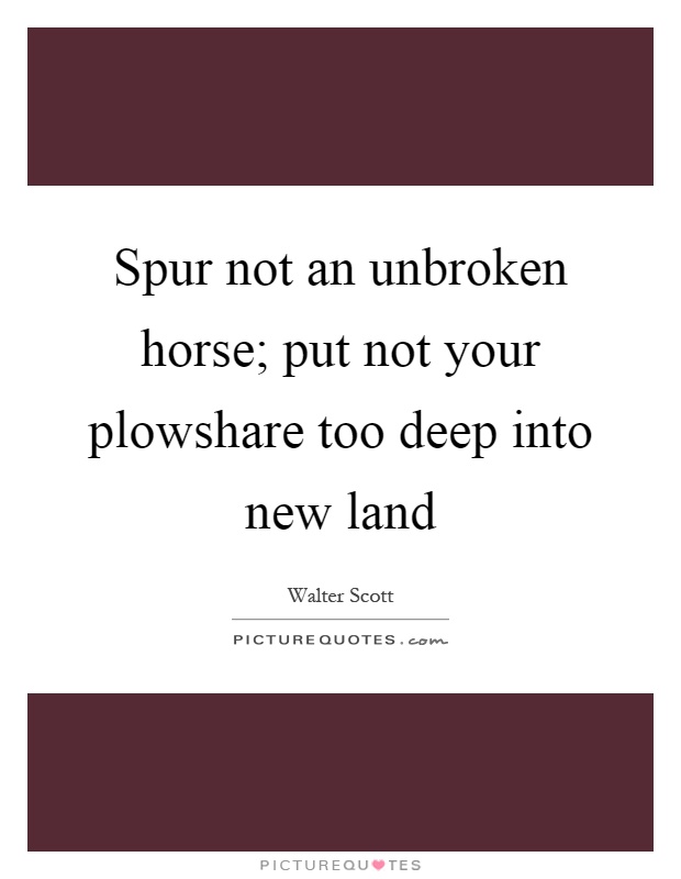 Spur not an unbroken horse; put not your plowshare too deep into new land Picture Quote #1