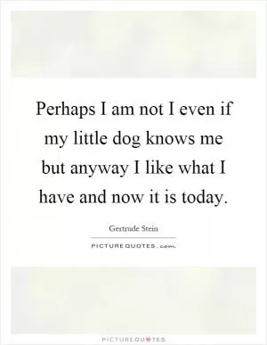 Perhaps I am not I even if my little dog knows me but anyway I like what I have and now it is today Picture Quote #1