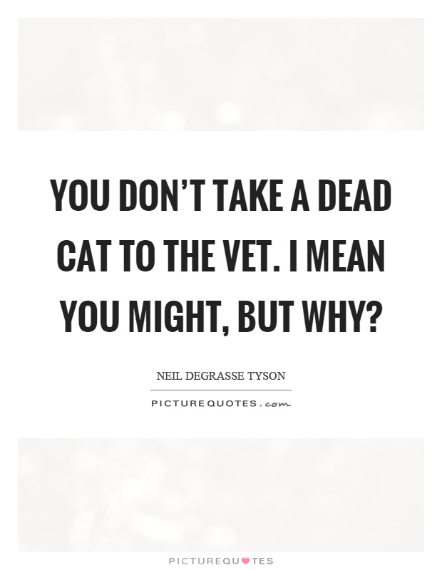 You don't take a dead cat to the vet. I mean you might, but why? Picture Quote #1