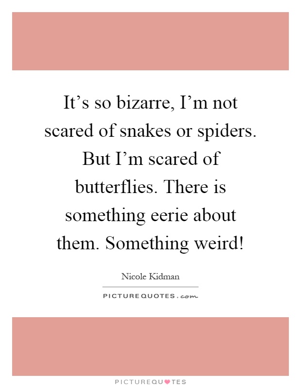 It's so bizarre, I'm not scared of snakes or spiders. But I'm scared of butterflies. There is something eerie about them. Something weird! Picture Quote #1
