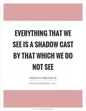 Everything that we see is a shadow cast by that which we do not see Picture Quote #1