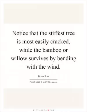Notice that the stiffest tree is most easily cracked, while the bamboo or willow survives by bending with the wind Picture Quote #1