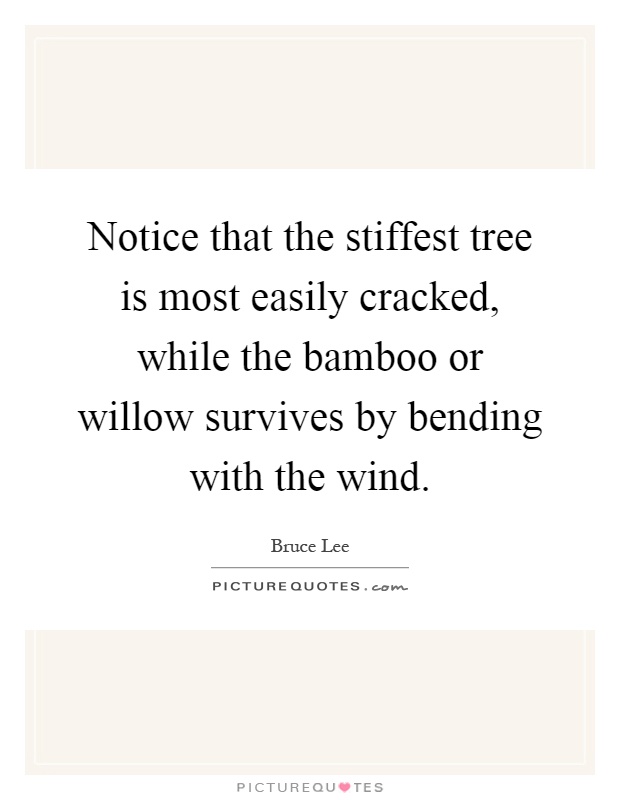 Notice that the stiffest tree is most easily cracked, while the bamboo or willow survives by bending with the wind Picture Quote #1