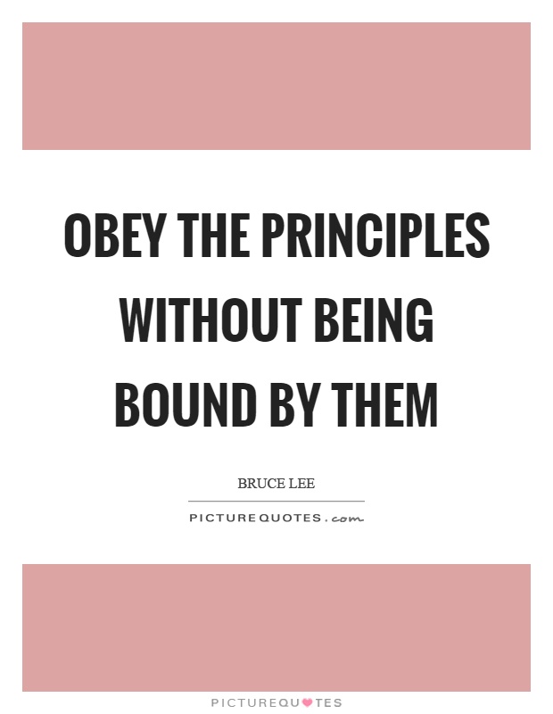 Obey the principles without being bound by them Picture Quote #1