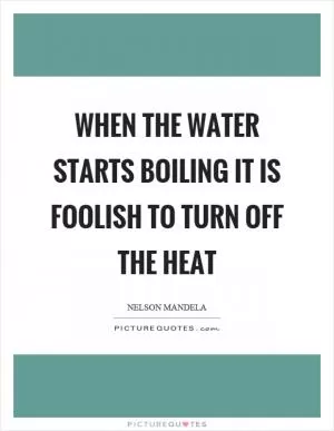 When the water starts boiling it is foolish to turn off the heat Picture Quote #1
