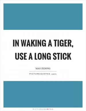 In waking a tiger, use a long stick Picture Quote #1