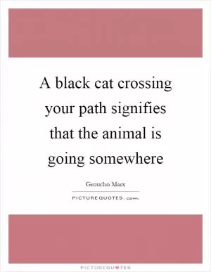 A black cat crossing your path signifies that the animal is going somewhere Picture Quote #1