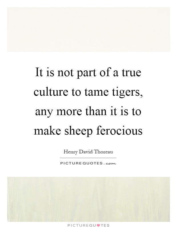 It is not part of a true culture to tame tigers, any more than it is to make sheep ferocious Picture Quote #1