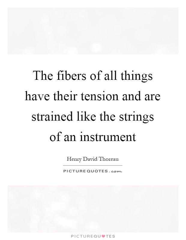 The fibers of all things have their tension and are strained like the strings of an instrument Picture Quote #1