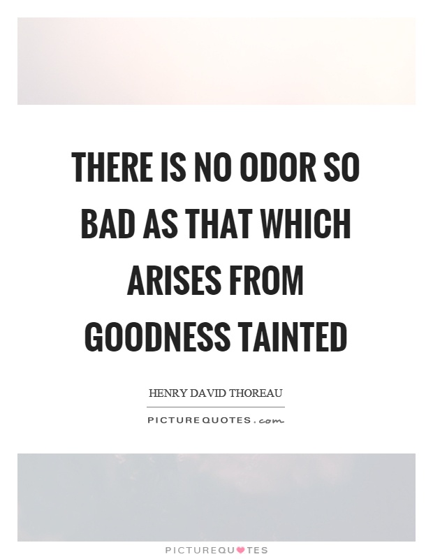 There is no odor so bad as that which arises from goodness tainted Picture Quote #1