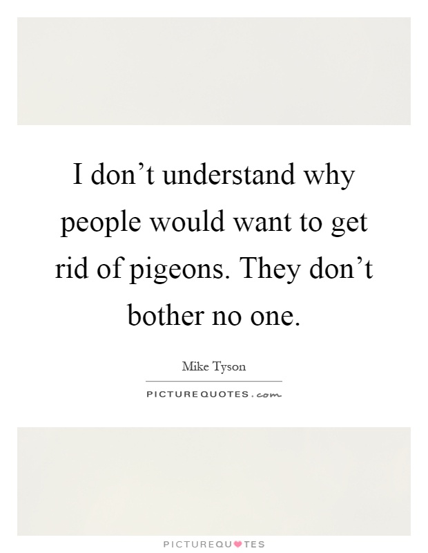 I don't understand why people would want to get rid of pigeons. They don't bother no one Picture Quote #1