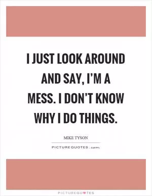 I just look around and say, I’m a mess. I don’t know why I do things Picture Quote #1
