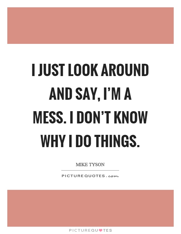 I just look around and say, I'm a mess. I don't know why I do things Picture Quote #1