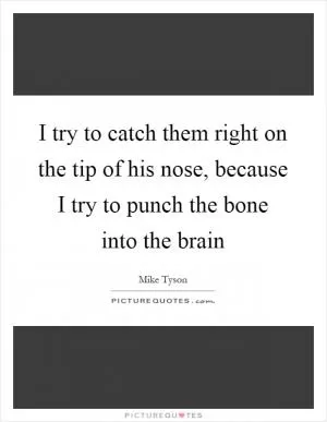 I try to catch them right on the tip of his nose, because I try to punch the bone into the brain Picture Quote #1
