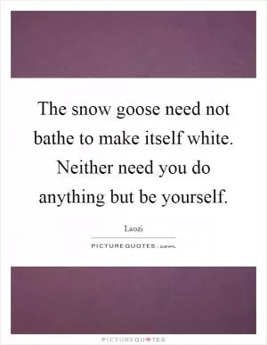 The snow goose need not bathe to make itself white. Neither need you do anything but be yourself Picture Quote #1