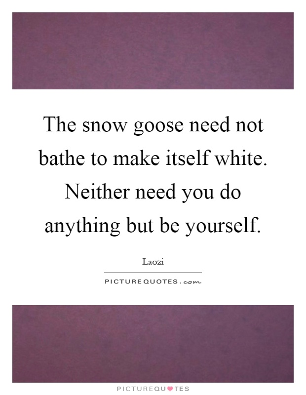The snow goose need not bathe to make itself white. Neither need you do anything but be yourself Picture Quote #1