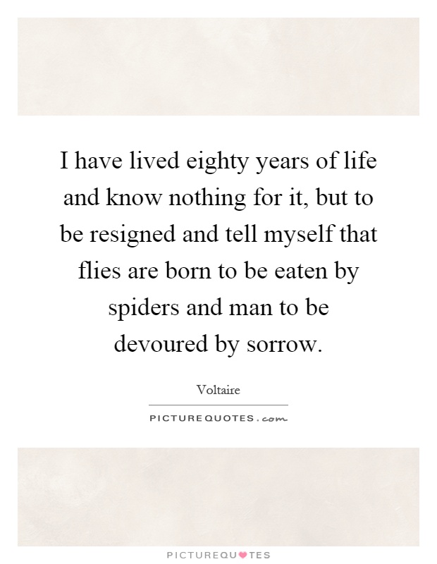 I have lived eighty years of life and know nothing for it, but to be resigned and tell myself that flies are born to be eaten by spiders and man to be devoured by sorrow Picture Quote #1