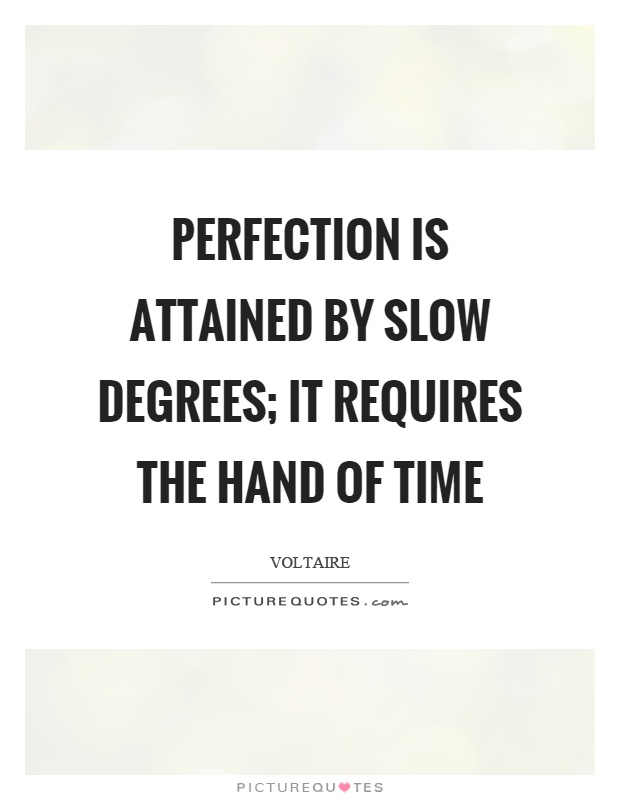 Perfection is attained by slow degrees; it requires the hand of time Picture Quote #1