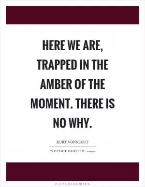 Here we are, trapped in the amber of the moment. There is no why Picture Quote #1