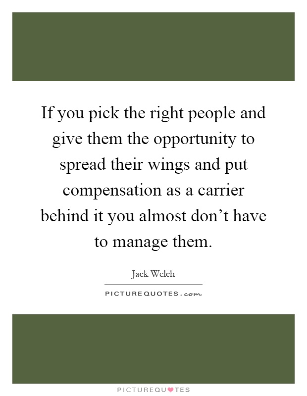 If you pick the right people and give them the opportunity to spread their wings and put compensation as a carrier behind it you almost don't have to manage them Picture Quote #1