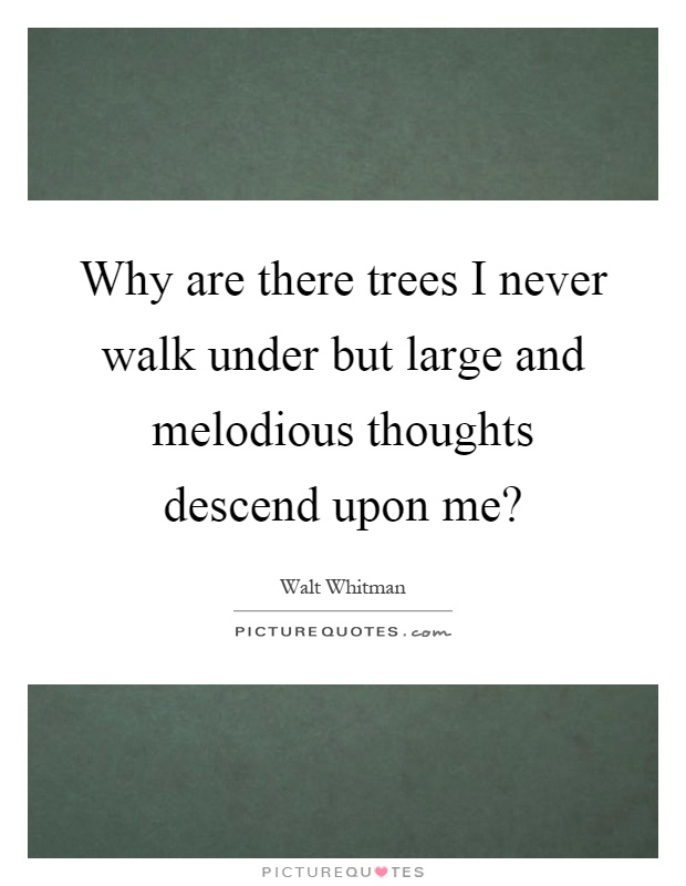 Why are there trees I never walk under but large and melodious thoughts descend upon me? Picture Quote #1