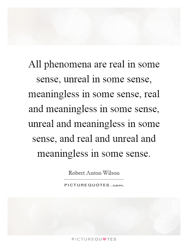 All phenomena are real in some sense, unreal in some sense, meaningless in some sense, real and meaningless in some sense, unreal and meaningless in some sense, and real and unreal and meaningless in some sense Picture Quote #1