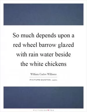 So much depends upon a red wheel barrow glazed with rain water beside the white chickens Picture Quote #1