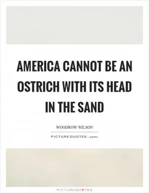 America cannot be an ostrich with its head in the sand Picture Quote #1