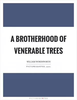 A brotherhood of venerable trees Picture Quote #1
